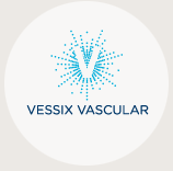 Vessix Vascular